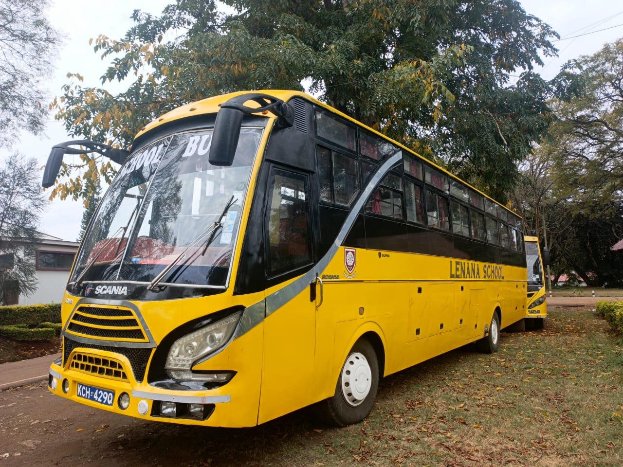 School Buses